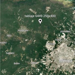 Terreno en Venta de 10 Hectáreas en Hunucmá PRECIO DE OPORTUNIDAD